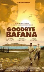 Goodbye Bafana