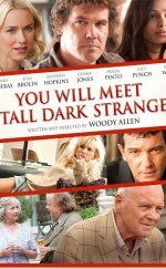 You Will Meet a Tall Dark Stranger