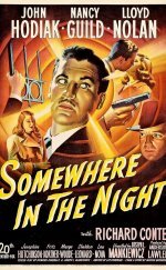 Somewhere in the Night