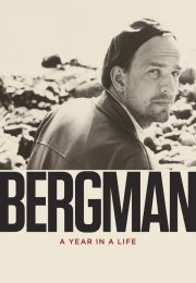 Bergman: A Year in a Life