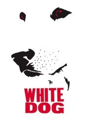 White Dog