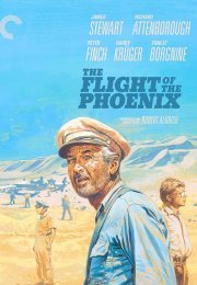 The Flight of the Phoenix
