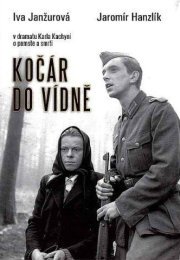 Kocár do Vídne