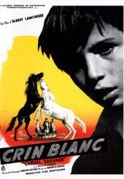 Crin Blanc: Le Cheval Sauvage