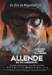 Allende En Su Laberinto