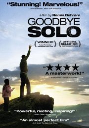 Goodbye Solo