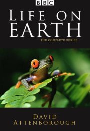 Life on Earth