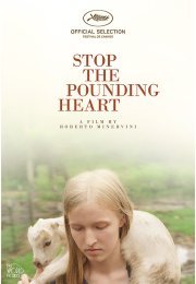 Stop the Pounding Heart