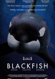 Blackfish