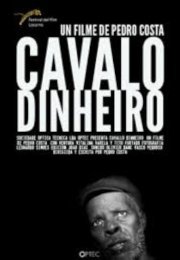 Cavalo Dinheiro