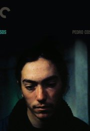 Ossos