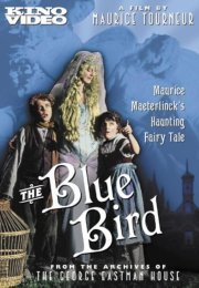 The Blue Bird