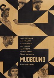 Mudbound