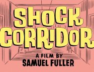 Shock Corridor