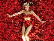 American Beauty