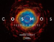 Cosmos: A Spacetime Odyssey