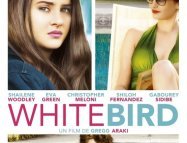 White Bird in a Blizzard