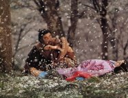 Sakura No Mori No Mankai No Shita