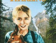 The Yearling