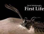 First Life