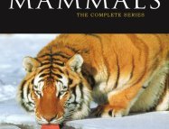 The Life of Mammals