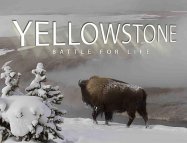 Yellowstone: Battle for Life