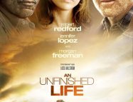 An Unfinished Life