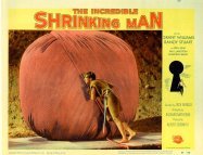 The Incredible Shrinking Man