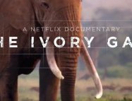 The Ivory Game
