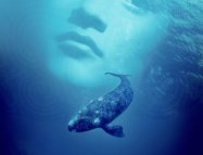 Whale Rider