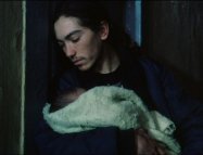 Ossos