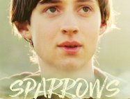 Sparrows