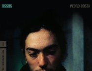 Ossos