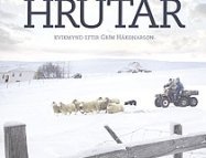 Hrútar