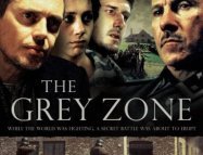 The Grey Zone