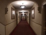 The Shining