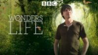 Wonders of Life