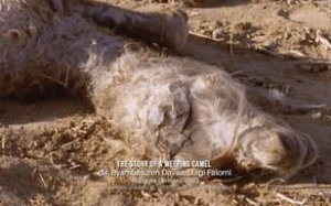 Women Make Film: A New Road Movie Through Cinema 1. Sezon 5. Bölüm