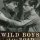 Wild Boys of the Road