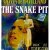 The Snake Pit