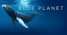 The Blue Planet